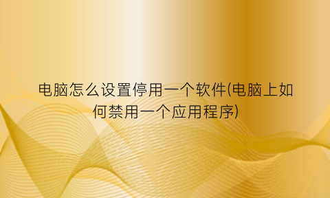电脑怎么设置停用一个软件(电脑上如何禁用一个应用程序)