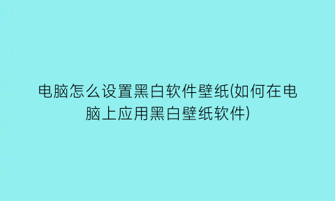 “电脑怎么设置黑白软件壁纸(如何在电脑上应用黑白壁纸软件)
