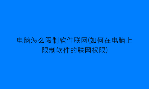 电脑怎么限制软件联网(如何在电脑上限制软件的联网权限)