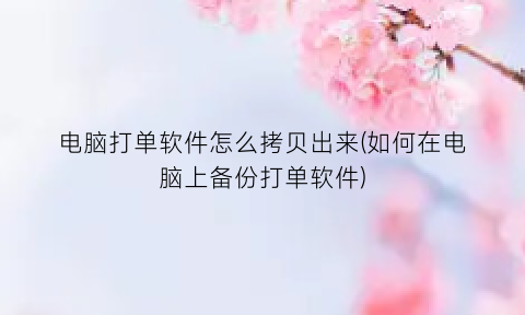 “电脑打单软件怎么拷贝出来(如何在电脑上备份打单软件)