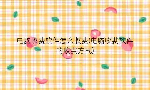 “电脑收费软件怎么收费(电脑收费软件的收费方式)