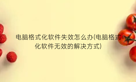 电脑格式化软件失效怎么办(电脑格式化软件无效的解决方式)