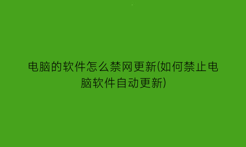 电脑的软件怎么禁网更新(如何禁止电脑软件自动更新)