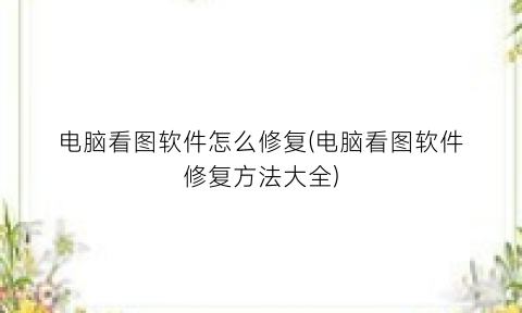 “电脑看图软件怎么修复(电脑看图软件修复方法大全)