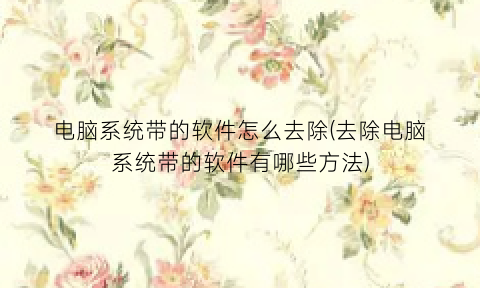 “电脑系统带的软件怎么去除(去除电脑系统带的软件有哪些方法)