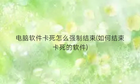 “电脑软件卡死怎么强制结束(如何结束卡死的软件)