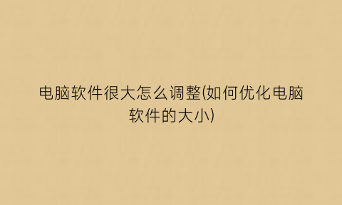 “电脑软件很大怎么调整(如何优化电脑软件的大小)