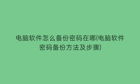 电脑软件怎么备份密码在哪(电脑软件密码备份方法及步骤)