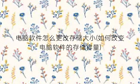 电脑软件怎么更改存储大小(如何改变电脑软件的存储容量)