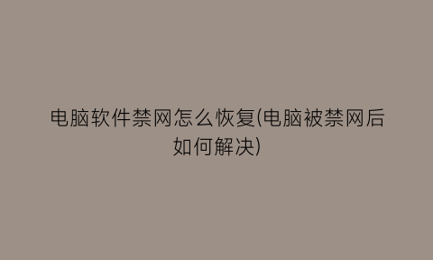 电脑软件禁网怎么恢复(电脑被禁网后如何解决)