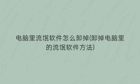 “电脑里流氓软件怎么卸掉(卸掉电脑里的流氓软件方法)