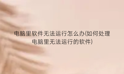 电脑里软件无法运行怎么办(如何处理电脑里无法运行的软件)