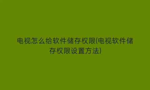 电视怎么给软件储存权限(电视软件储存权限设置方法)