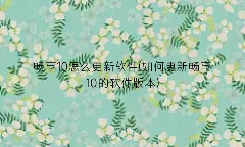 “畅享10怎么更新软件(如何更新畅享10的软件版本)