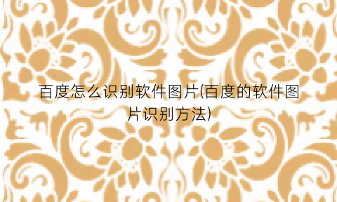 “百度怎么识别软件图片(百度的软件图片识别方法)
