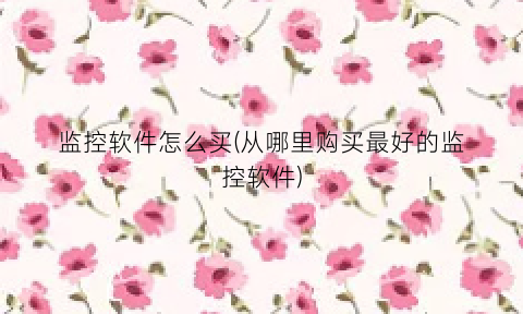“监控软件怎么买(从哪里购买最好的监控软件)