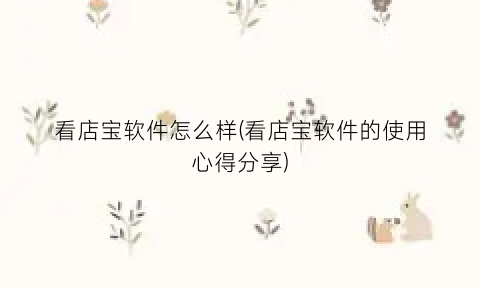 “看店宝软件怎么样(看店宝软件的使用心得分享)
