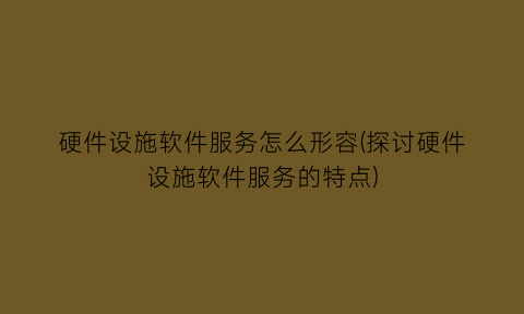 “硬件设施软件服务怎么形容(探讨硬件设施软件服务的特点)
