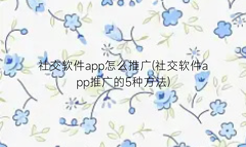 社交软件app怎么推广(社交软件app推广的5种方法)