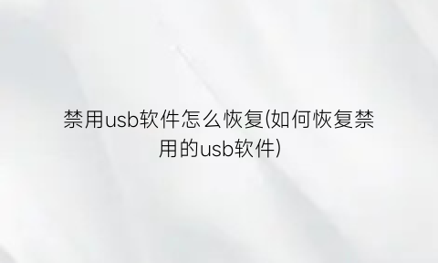 禁用usb软件怎么恢复(如何恢复禁用的usb软件)