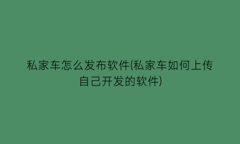 私家车怎么发布软件(私家车如何上传自己开发的软件)