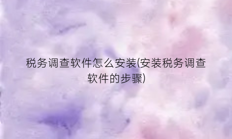 “税务调查软件怎么安装(安装税务调查软件的步骤)