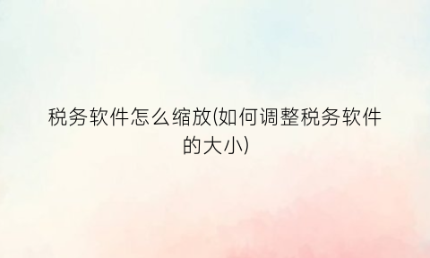 税务软件怎么缩放(如何调整税务软件的大小)