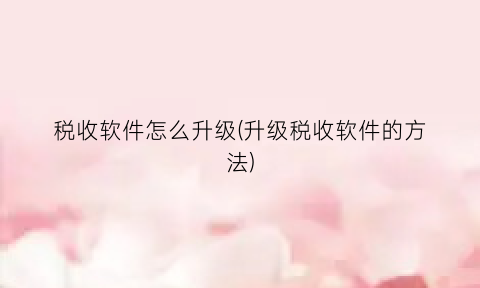 税收软件怎么升级(升级税收软件的方法)