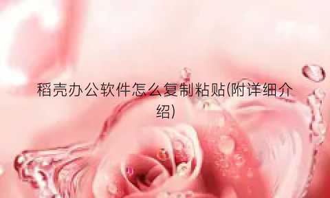 稻壳办公软件怎么复制粘贴(附详细介绍)
