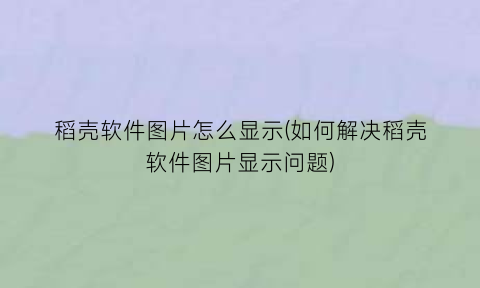 稻壳软件图片怎么显示(如何解决稻壳软件图片显示问题)