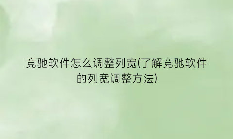 竞驰软件怎么调整列宽(了解竞驰软件的列宽调整方法)