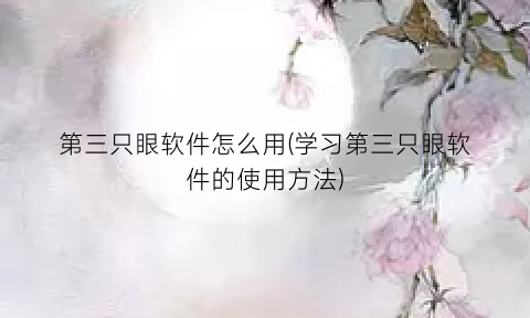 第三只眼软件怎么用(学习第三只眼软件的使用方法)