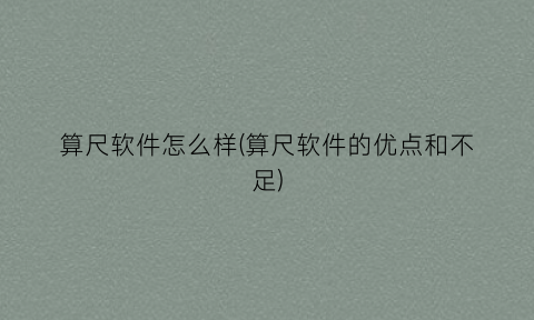 “算尺软件怎么样(算尺软件的优点和不足)