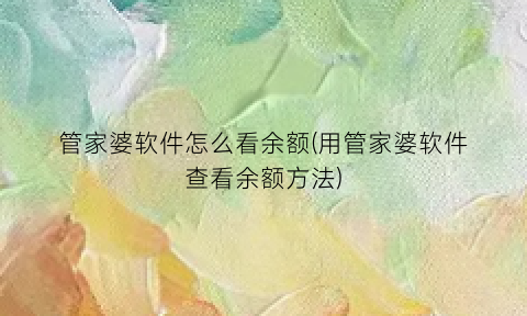 管家婆软件怎么看余额(用管家婆软件查看余额方法)