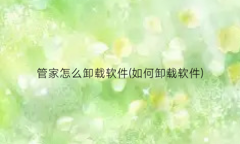 “管家怎么卸载软件(如何卸载软件)