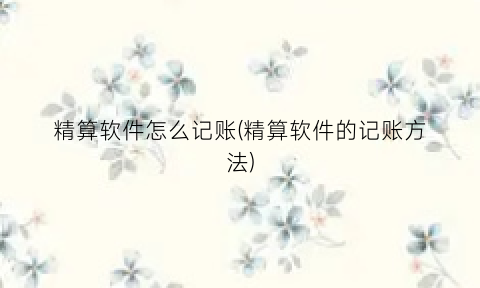 “精算软件怎么记账(精算软件的记账方法)