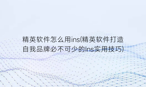 “精英软件怎么用ins(精英软件打造自我品牌必不可少的Ins实用技巧)