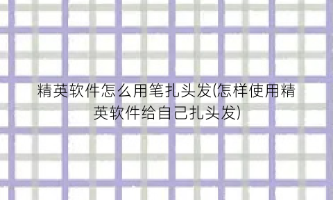 “精英软件怎么用笔扎头发(怎样使用精英软件给自己扎头发)