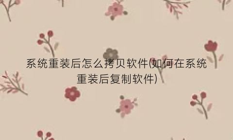 系统重装后怎么拷贝软件(如何在系统重装后复制软件)