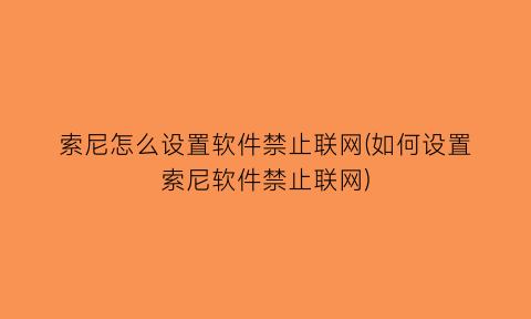 索尼怎么设置软件禁止联网(如何设置索尼软件禁止联网)
