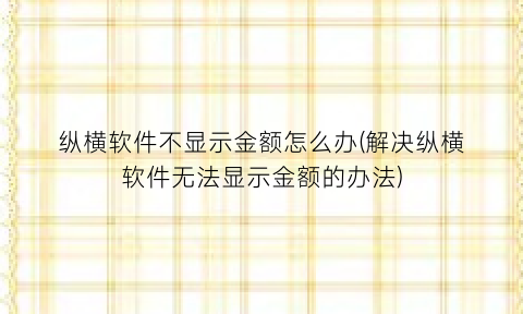 纵横软件不显示金额怎么办(解决纵横软件无法显示金额的办法)