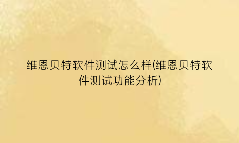 维恩贝特软件测试怎么样(维恩贝特软件测试功能分析)
