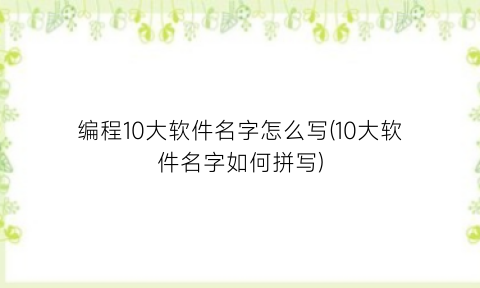 “编程10大软件名字怎么写(10大软件名字如何拼写)