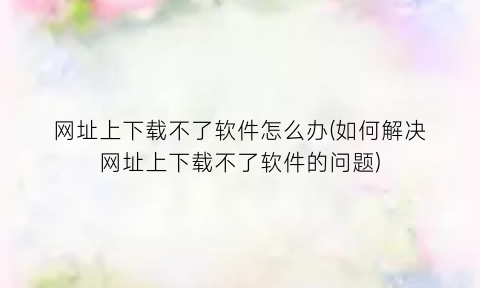 “网址上下载不了软件怎么办(如何解决网址上下载不了软件的问题)