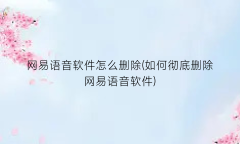 网易语音软件怎么删除(如何彻底删除网易语音软件)