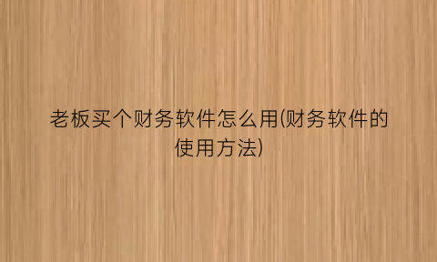 老板买个财务软件怎么用(财务软件的使用方法)