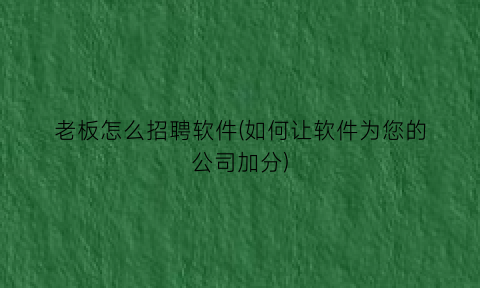 老板怎么招聘软件(如何让软件为您的公司加分)