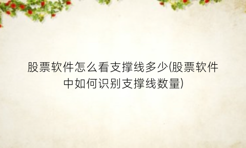 “股票软件怎么看支撑线多少(股票软件中如何识别支撑线数量)