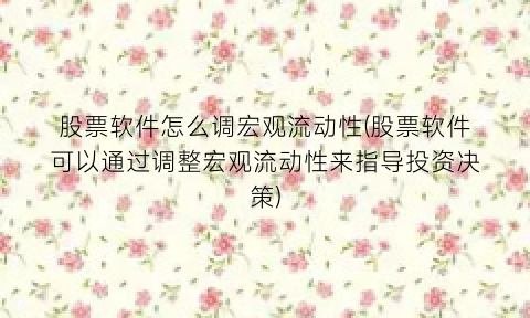 “股票软件怎么调宏观流动性(股票软件可以通过调整宏观流动性来指导投资决策)