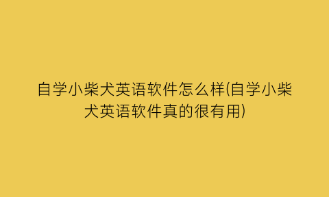 自学小柴犬英语软件怎么样(自学小柴犬英语软件真的很有用)